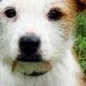 George King's photo