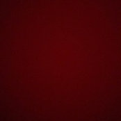 Mary Codd's photo