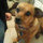 libby_harrelson