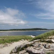 Judy Bennett's photo