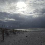 Traci McFall Gossett's photo