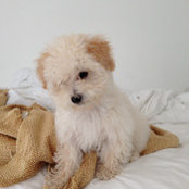DIANA PETERSON's photo
