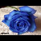 Susan Figueroa-Mendoza's photo