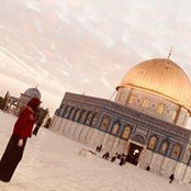 مها جبالي's photo