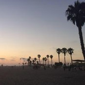 Julie Thomas's photo