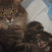 Roberta Lenhof's photo