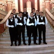 Organizari Evenimente MV's photo