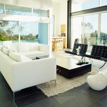 Barcelona Chair and Ottoman by Barcelona Designs