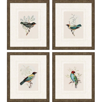 On Perch I, Set of 4