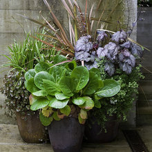 small gardens/containers