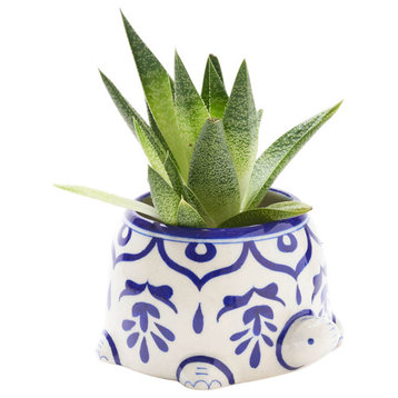 Lalita Mama Turtle Succulent Planter White, Blue Hand Painted
