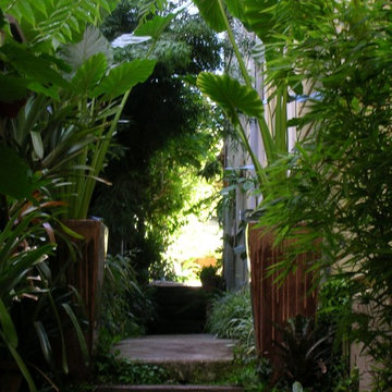 Hayes Street Garden