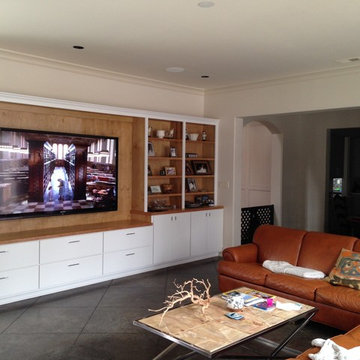 Living Room Home Media Projects