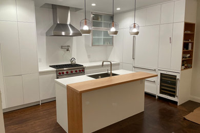 Example of a minimalist kitchen design