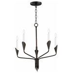 Maxim Lighting - Maxim Lighting Calyx - 5 Light Chandelier, Black Finish - An arrangement that features Black tubing bouqueteCalyx 5 Light Chande Black *UL Approved: YES Energy Star Qualified: n/a ADA Certified: n/a  *Number of Lights: 5-*Wattage:40w Incandescent bulb(s) *Bulb Included:No *Bulb Type:Incandescent *Finish Type:Black