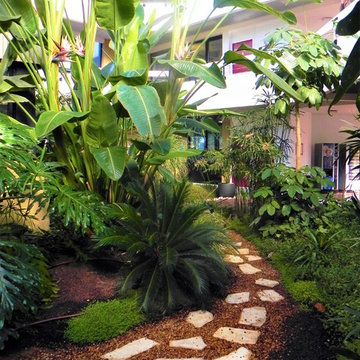 Nos patios