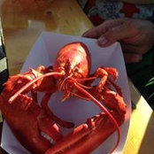 Red Crabs foto