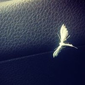 Anfisa Voitenco's photo