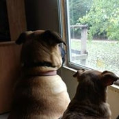 Barbara Mann's photo