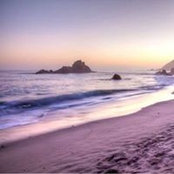 Richa Dwivedi's photo