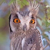 Kimberley Surrette's photo