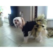 Alicson Mayfield's photo