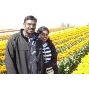 Navaneetha T's photo