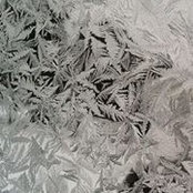 Peter Williams's photo