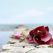Foto von Stefanie Howe
