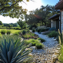 Austin landscaping