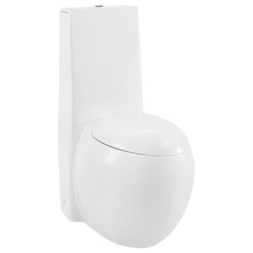 Plaisir One-Piece Elongated Toilet Dual-Flush 1.1/1.6 gpf