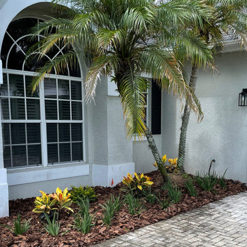 Front and Backyard Landscape Renovation with a Drainage Challenge