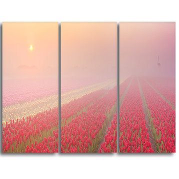 "Sunrise over Rows of Tulips" Wall Art Canvas Print, 3 Panels, 36"x28"