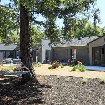 Juno St. Tiburon