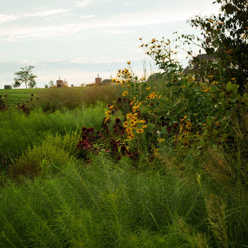 Meadow Garden