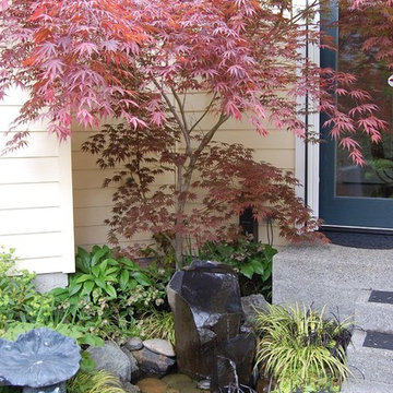 Water Features