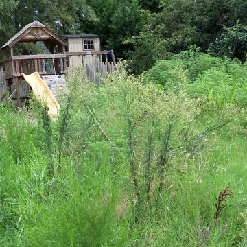 Ugly Yard Contest Winner
