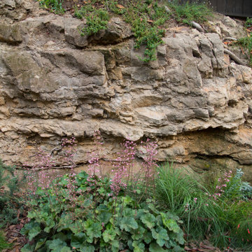Native plants and stone outcropping