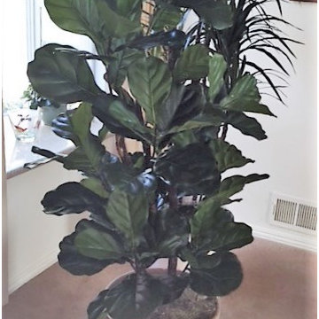 Artificial Trees