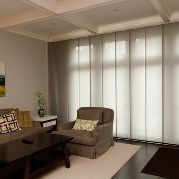 Skyline Panel Track System