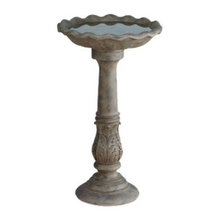 Bird Bath