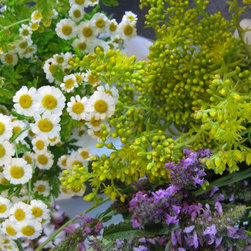 Flora Verdura - Products