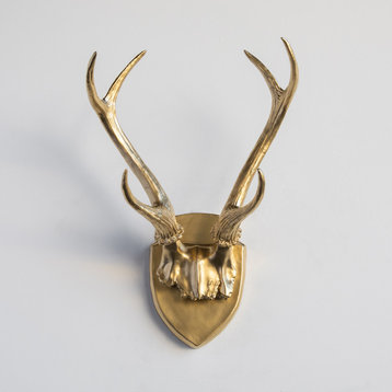 Deer Antler Mount, White Antlers And Plaque, Gold