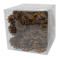 Martha Stewart Living 60 Piece Set Pinecone Ornament - Natural - Holiday Decorations