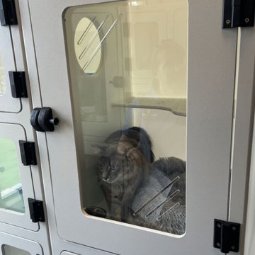 Cat Condos