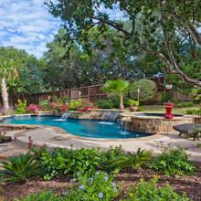 back yard