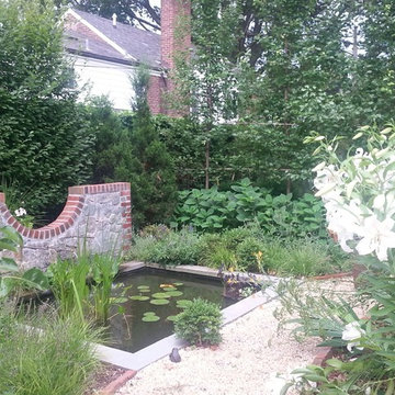 Goldfish Pond Garden