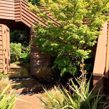 San Rafael Hillside renovation