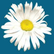 Jane Forrington's photo