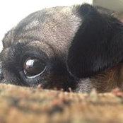 Charlett Warren's photo
